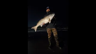 Catching Bull Reds at Night! Surf Fishing San Luis Pass