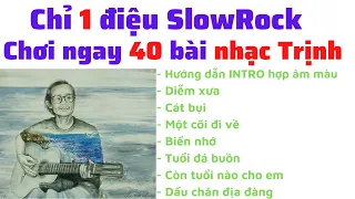 [Hướng dẫn Guitar] Chinh phục 40 ca khúc nhạc Trịnh chỉ với 1 điệu SlowRock