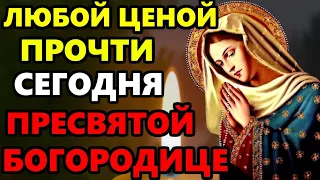 ЛЮБОЙ ЦЕНОЙ ПРОЧТИ ЭТУ МОЛИТВУ БОГОРОДИЦЕ ПРЯМО СЕЙЧАС! Молитва Богородице. Православие