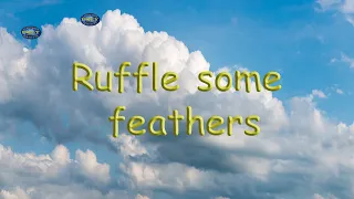 Ruffle some feathers | American Idiom