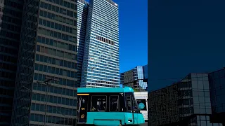 Frankfurt/Main Tram 🇩🇪 • T 307 • Platz der Republik • 15.09.2023