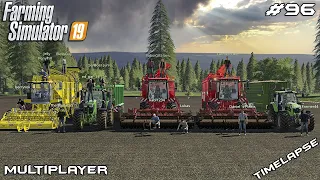 SUGAR BEET harvest in Münsterland | Landersum | Multiplayer Farming Simulator 19 | Episode 96