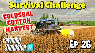 A Colossal Cotton Harvest  | NML Survival Challenge | Farming Simulator 22  #26