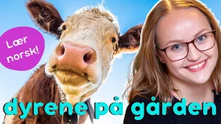 Dyrene på gården | Lær norsk | Farm animals in Norwegian