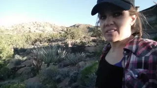 Secret Cabin in the Mojave Desert