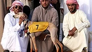 نهائي بطولة الشيخ سلطان بن زايد (شوط الذيخه)