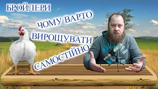 Чому варто вирощувати бройлерів самостійно: 7 аргументів