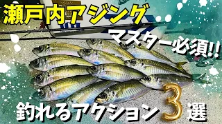 瀬戸内アジング！アジが必ず釣れるアクションを3つご紹介します！