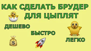 Брудер из коробки - самое простое решение //Цыплята "домашнего бройлера"