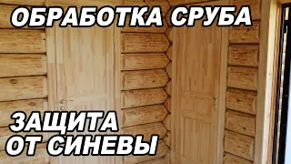 ОБРАБОТКА бани из сруба изнутри, ЗАЩИТА дерева от СИНЕВЫ и плесени. Отделка бани.