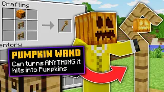 Minecraft Manhunt, But Pumpkins Are Secretly OP...