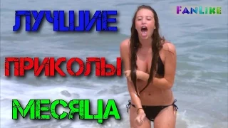 Видео Приколы FanLIKE ★ Best Funny Videos ★ Лучшая подборка за месяц март 2016 | выпуск # 22 |