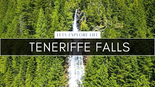 Majestic Waterfalls Series - Hiking Teneriffe Falls Trailhead in 2021