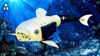 Il Nuovo Robot Gillbert per Pulire gli Oceani!