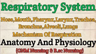 Respiratory System Anatomy and Physiology || Anatomy and Physiology of Respiratory System