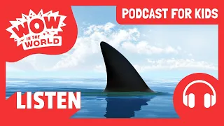 What was the LARGEST SHARK in History?! 🦈🌊 | PODCAST FOR KIDS 🎧 | Wow in the World FULL EPISODE