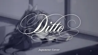 NewJeans - Ditto / Japanese Cover