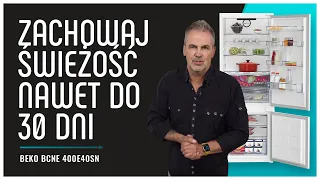 Recenzja lodówki Beko BCNE 400E40SN - technologia inspirowana naturą