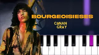 Conan Gray - Bourgeoisieses  | Piano Tutorial