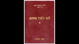 Kinh Tiểu Bộ - Tập 3-12 (Hết tập 3): Trưởng Lão Ni Kệ