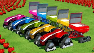 PLOW & SPREAD LIME AND TRANSPORT STRAWBERRY WITH CASE TRACTORS - Farming Simulator 22