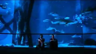 The Bad Lieutenant -Does fish have dreams?-