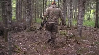 New Brunswick Bear Hunt Spring 2021