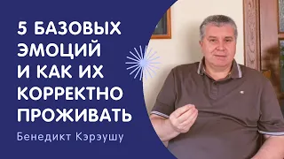 5 базовых эмоций — каковы их функции и как их корректно проживать | Бенедикт Кэрэушу