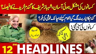 Punjab Government Big Decision related to Wheat | Lahore News Headlines 12 PM | 11 May 2024