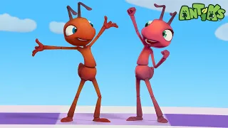 Ants at a Picnic | Antiks 🐜 | Funny Cartoons for Kids