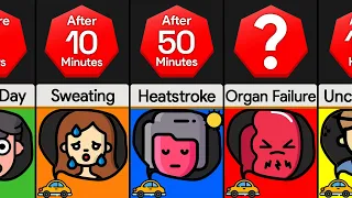 Timeline: If You Were Trapped In A Hot Car