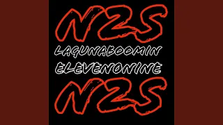 N2S