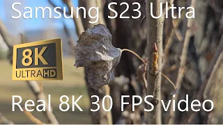 Samsung Galaxy S23 Ultra Real 8K 30 FPS cinematic video