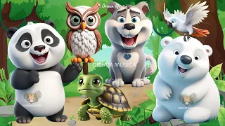 Funny Animal Sounds in 30 Minutes: Panda, Owl, Polar bear, Turkey, Turtle - ANIMAL (BGM)