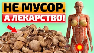 Никогда не выбрасывайте ОРЕХОВУЮ СКОРЛУПУ и вот почему!