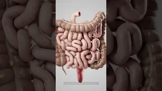 Early Warning Signs Of COLON CANCER You Should Not Ignore