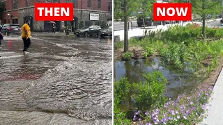 How Turning New York Green Be A Solution To Urban Flooding