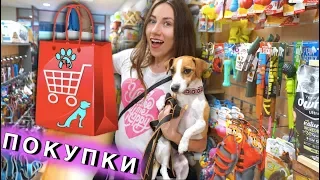 Покупки из ЗООМАГАЗИНА для всех Питомцев Канары летим домой | Elli Di Pets