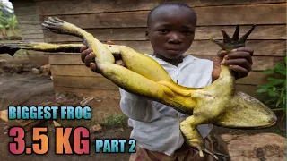 World's Biggest Frog || Big Frog || "Goliath" frog knowledge || सबसे बड़ा मेंढक पार्ट 2 || qt facts