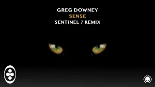 Greg Downey - Sense (Sentinel 7 Remix)