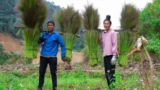 Harvesting Chit Grass Flowers and Bringing them to the Market to Sell | Family Farm