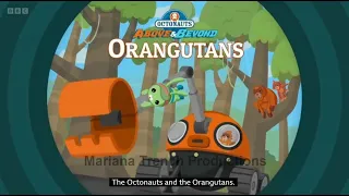 Octonauts & The Orangutans ABOVE & BEYOND Season 3 ENGLISH Full Episode 10 SELVA