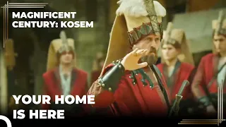 Zulfikar Introduces the Janissary Corpse | Magnificent Century: Kosem