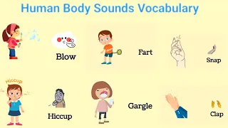 Body sounds Vocabulary | Vocabulary | listen and practice | English Vocabulary