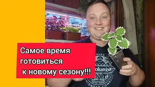 Мои цветочные новинки//Зимний уход и профилактика!