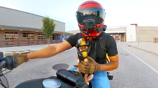 Man Put Chihuahuas On A Motorbike. Now They Won’t Let Him Ride Alone | Cuddle Buddies