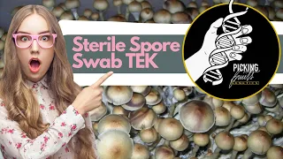 How to Grow Mushrooms: Picking Fruits Sterile Spore Swab Tek!