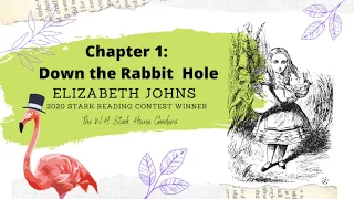 Chapter 1: Down the Rabbit Hole