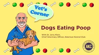 Dogs Eating Poop | Vet's Corner with Dr. Jerry Klein