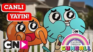 🔴 CANLI 🔴 | GUMBALL | 1. Sezon | Cartoon Network Türkiye